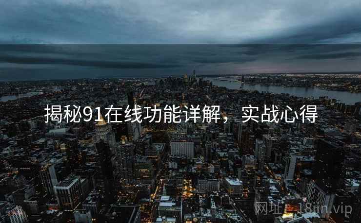 揭秘91在线功能详解，实战心得