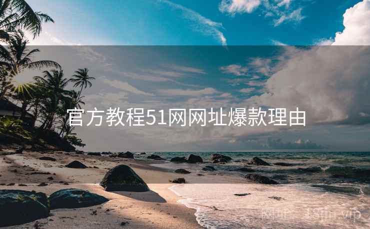 官方教程51网网址爆款理由