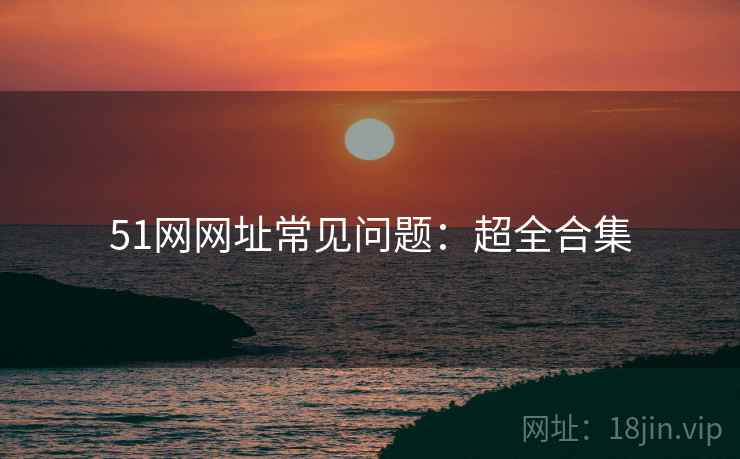 51网网址常见问题：超全合集