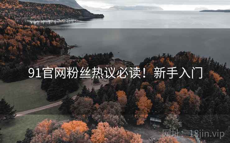 91官网粉丝热议必读！新手入门