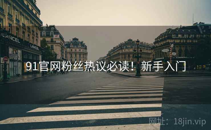 91官网粉丝热议必读！新手入门