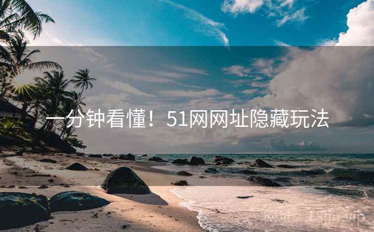 一分钟看懂！51网网址隐藏玩法