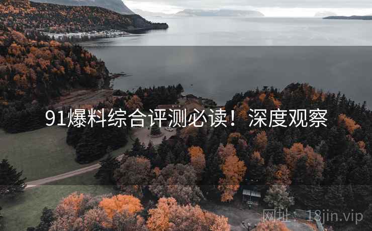 91爆料综合评测必读！深度观察