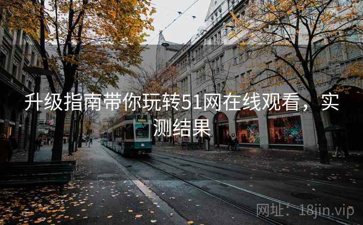 升级指南带你玩转51网在线观看，实测结果