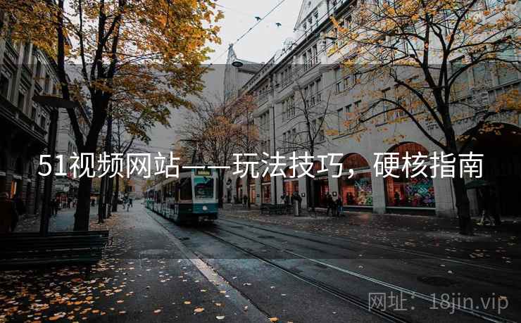 51视频网站——玩法技巧，硬核指南