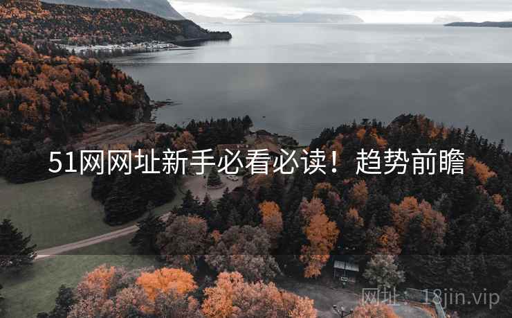 51网网址新手必看必读！趋势前瞻
