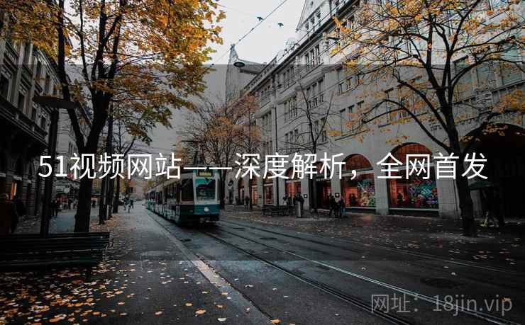 51视频网站——深度解析，全网首发
