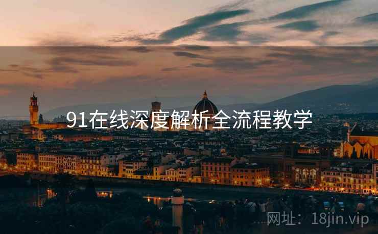 91在线深度解析全流程教学