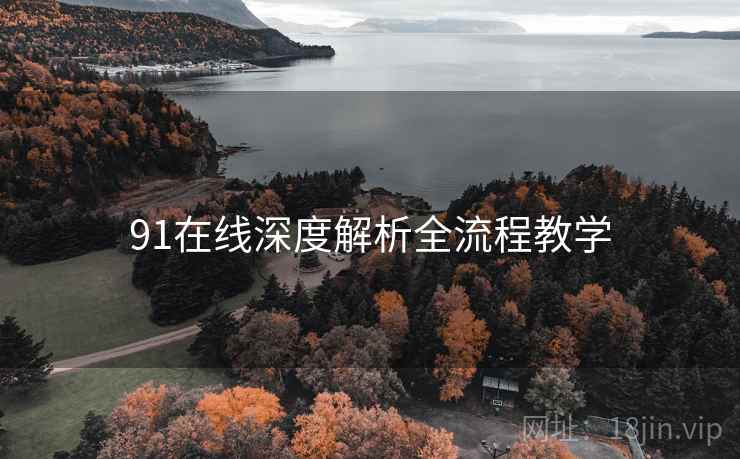 91在线深度解析全流程教学