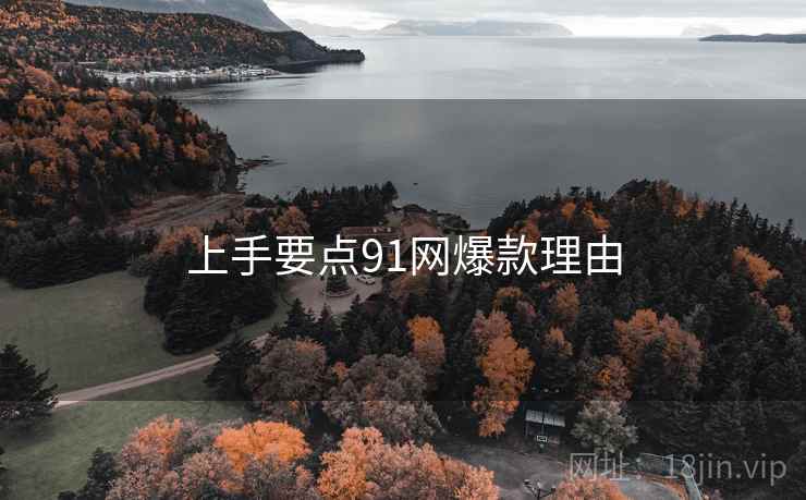 上手要点91网爆款理由