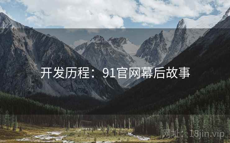 开发历程：91官网幕后故事