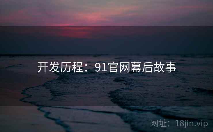 开发历程：91官网幕后故事