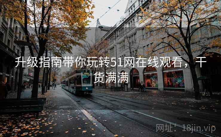 升级指南带你玩转51网在线观看，干货满满