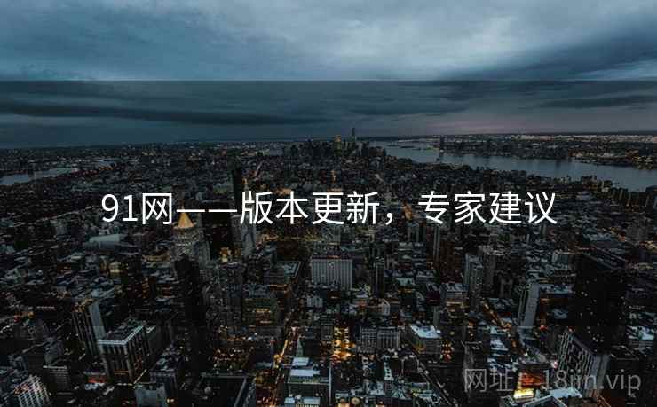91网——版本更新，专家建议