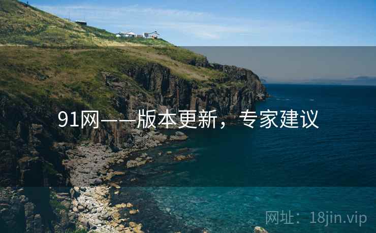 91网——版本更新，专家建议