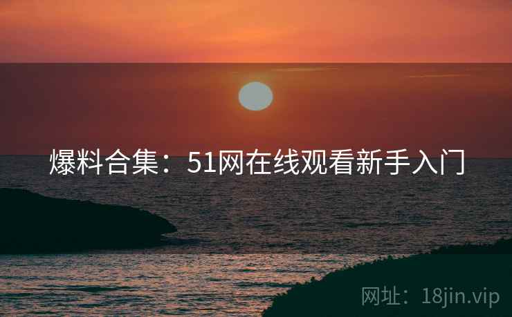 爆料合集：51网在线观看新手入门
