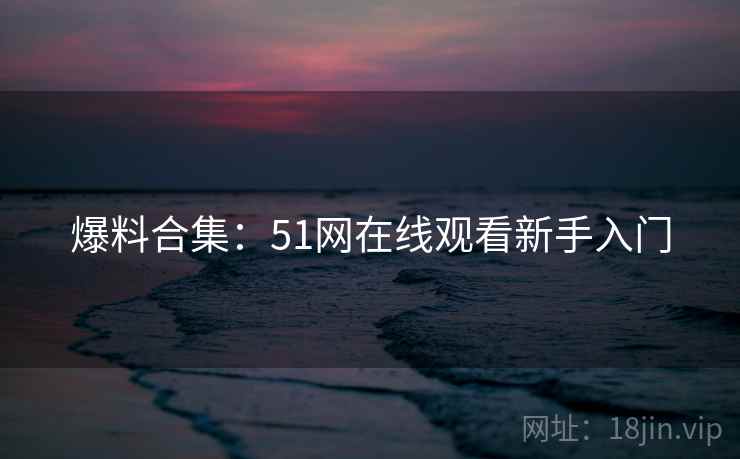 爆料合集：51网在线观看新手入门