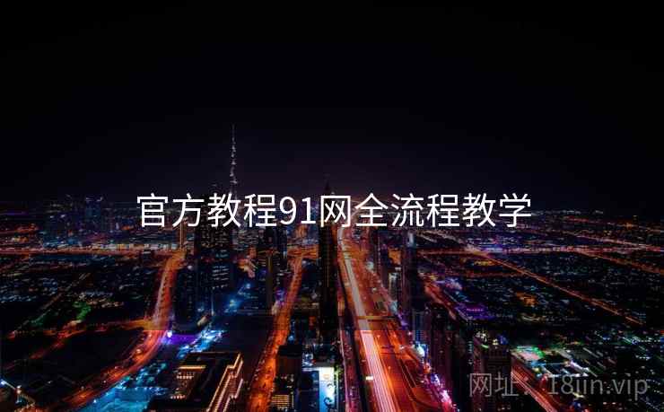 官方教程91网全流程教学