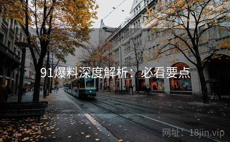 91爆料深度解析：必看要点
