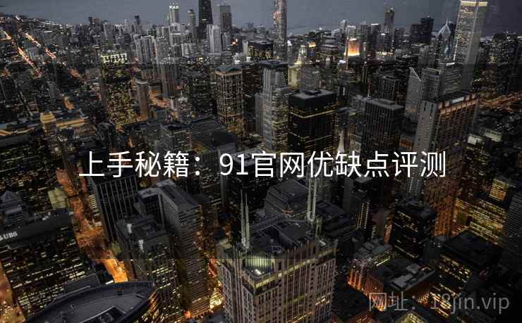 上手秘籍：91官网优缺点评测