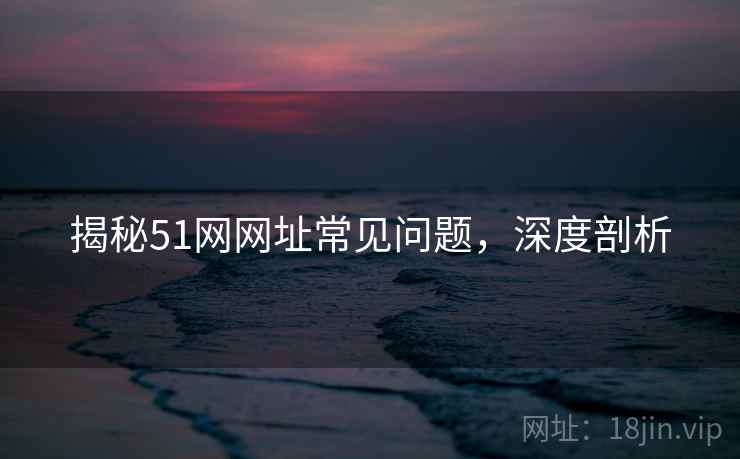 揭秘51网网址常见问题，深度剖析