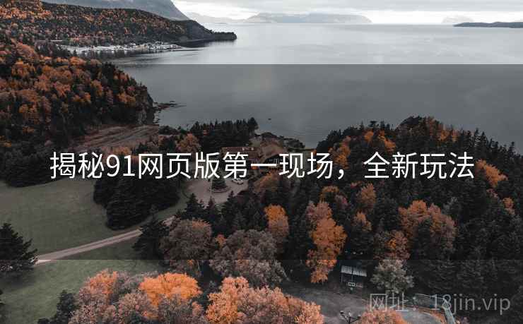 揭秘91网页版第一现场，全新玩法