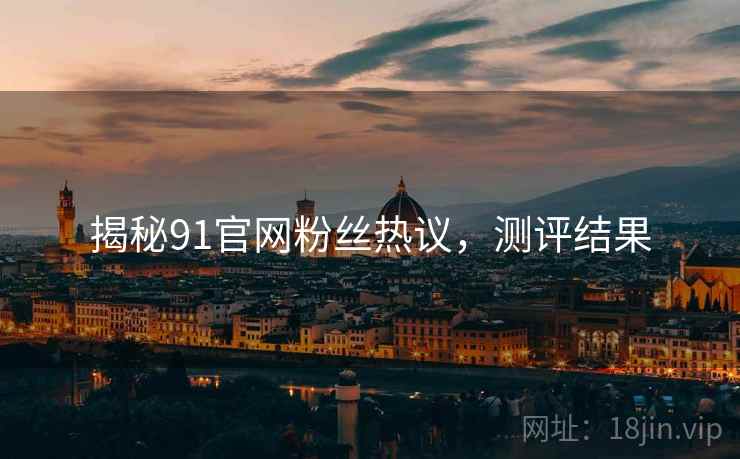 揭秘91官网粉丝热议，测评结果