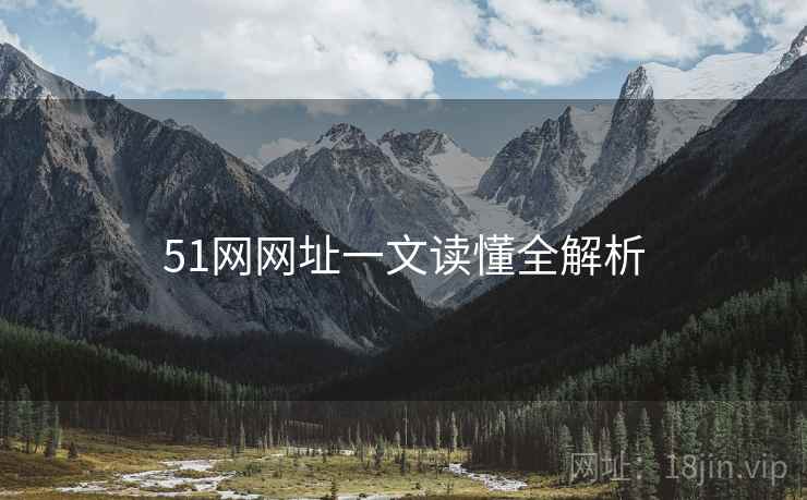 51网网址一文读懂全解析
